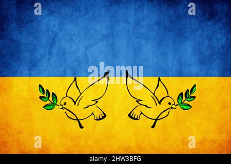 Friedenstaube Silhouette mit Olivenbaum Stamm auf ukraine Flagge Stockfoto