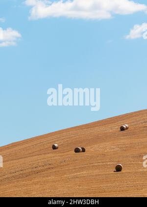 Blick auf Heurollen verstreut im Feld an einem bewölkten Tag, Toscana, Italien Stockfoto