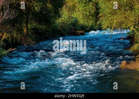 Schneller Gebirgsfluss fließt zwischen den bewaldeten Ufern. Stockfoto