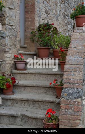 Typisches toskanisches Steinhaus mit Blumentöpfen in der Nähe von Montalcino, Toskana, Italien. Stockfoto