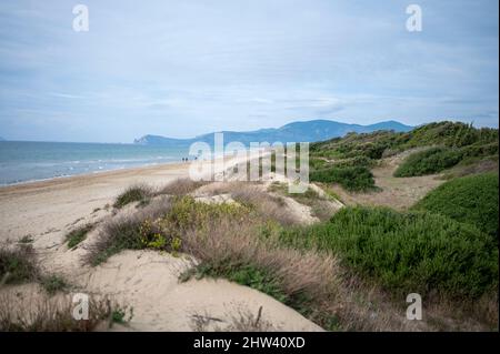 Luftaufnahme auf Sanddünen, Strand und Küste des Tyrrhenischen Meeres zwischen zwei touristischen Städten Sperlonga und Terracina in Latium, Italien im Herbst Stockfoto