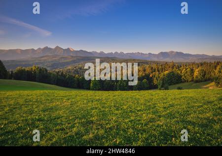 Wunderschöne Frühlingslandschaft. Grüne Lichtung vor der Kulisse hoher Berge. Stockfoto