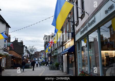 Church Street, Twickenham, London, Großbritannien. 3. März 2022. Ukrainische Flaggen säumen die Church Street in Twickenham, London. Kredit: Matthew Chattle/Alamy Live Nachrichten Stockfoto
