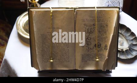 Altes Buch mit Bildern und Text öffnen. Aktion. Antikes Buch mit Lesezeichen mit biologischen Bildern und Text auf beigefarbenem Papier. Verbreitung des alten Buches. Stockfoto