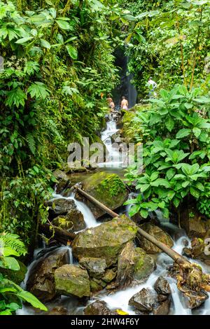 Kleiner Wasserfall im Nebelwaldreservat Nambillo, in der Nähe von San Carlos, Pinchincha, Ecuador an einem bewölkten Tag. Stockfoto