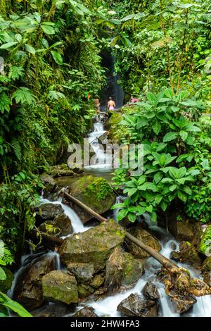 Kleiner Wasserfall im Nebelwaldreservat Nambillo, in der Nähe von San Carlos, Pinchincha, Ecuador an einem bewölkten Tag. Stockfoto