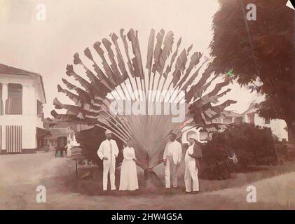 Art Inspired by Traveller's Palm or Fan Palm, Singapur, 1860s–70s, Albumin-Silberdruck aus Glasnegativ, 11,8 x 16,5 cm (4 5/8 x 6 1/2 Zoll), Fotografien, Unbekannt, Klassische Werke, die von Artotop mit einem Schuss Moderne modernisiert wurden. Formen, Farbe und Wert, auffällige visuelle Wirkung auf Kunst. Emotionen durch Freiheit von Kunstwerken auf zeitgemäße Weise. Eine zeitlose Botschaft, die eine wild kreative neue Richtung verfolgt. Künstler, die sich dem digitalen Medium zuwenden und die Artotop NFT erschaffen Stockfoto