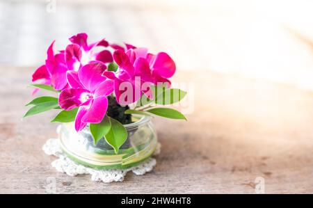 Wunderschöne tropische Orchideenblüte in einem Topf auf dem Holztisch vor einem hellweißen Hintergrund. Und Platz für das Design kopieren. Stockfoto