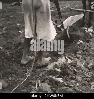 Kunst inspiriert von Alabama Plough Girl, in der Nähe von Eutaw, Alabama, 1936, Silbergelatin-Druck, 19,1 x 19,4 cm (7 1/2 x 7 5/8 Zoll ), Fotografien, Dorothea lange (Amerikanerin, 1895–1965), Dorothea lange ist am meisten bekannt für eine einzige Fotografie, MigrantInnen-Mutter. Das Porträt eines unruhigen Bauern, Classic Works modernisiert von Artotop mit einem Schuss Moderne. Formen, Farbe und Wert, auffällige visuelle Wirkung auf Kunst. Emotionen durch Freiheit von Kunstwerken auf zeitgemäße Weise. Eine zeitlose Botschaft, die eine wild kreative neue Richtung verfolgt. Künstler, die sich dem digitalen Medium zuwenden und die Artotop NFT erschaffen Stockfoto