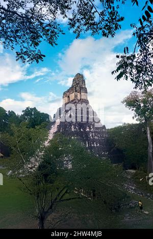 Tempel I erhebt sich über dem Großen Platz im Tikal Nationalpark, Petén, Guatemala Stockfoto