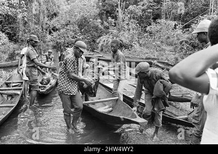 Soldaten und Helfer aus Biafra sahen hier, wie sie einen verletzten Kameraden auf ein Kanu trugen, um während des Biafra-Konflikts den Fluss zu überqueren. 11.. Juni 1968. Der nigeranische Bürgerkrieg, auch bekannt als Biafrankrieg, dauerte zweieinhalb Jahre, vom 6. Juli 1967 bis zum 15. Januar 1970, und wurde gekämpft, um der Abspaltung von Biafra von Nigeria entgegenzuwirken. Die indigenen Igbo-Bewohner von Biafra fühlten sich nach der Unabhängigkeit von Großbritannien nicht mehr mit der nordeuropäischen Bundesregierung koexistieren können. Politische, wirtschaftliche, ethnische, kulturelle und religiöse Spannungen kochten schließlich in einen Bürgerkrieg über Stockfoto