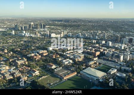 Luftaufnahme von UCLA und Westwood Stockfoto