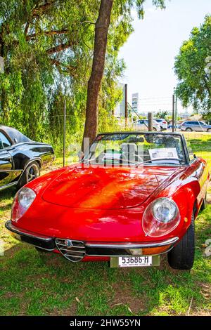 1972 Alfa Romeo Spider Veloce 2000 Sports Raodster auf Displat bei Tamworth Australia. Stockfoto