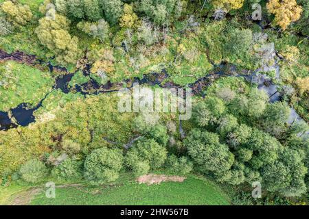 Luftaufnahme des farbenfrohen Teiches in den Sümpfen an einem sonnigen Herbsttag Stockfoto