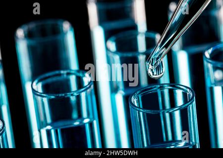Pipette Flüssigkeit in Reagenzglas Fallenlassen Stockfoto