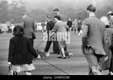 Combermere Cup Final Polo Spiel in Windsor gespielt.Windsor Park besiegte Lowood mit 6 Toren zu 4, um die Trophäe mit Hilfe von Prinz Charles und seinem Vater Prinz Philip zu gewinnen, die beide wichtige Tore während des Spiels erzielten. Ihre Majestät Königin Elizabeth II. Beim Spiel mit ihren Corgi-Hunden, um ihrem Mann und ihrem Sohn beim Wettkampf zuzusehen. 30.. April 1967. Stockfoto