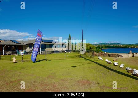 Haus zum Verkauf vom Eigentümer in der Nähe von Port Allen auf Kauai Stockfoto