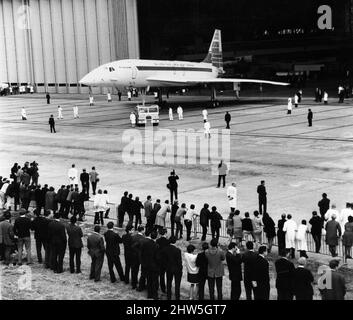 Der britische Concorde 002-Prototyp wird aus seinem Aufhänger, in dem er im Werk der British Aircraft Corporation in Filton, Bristol, gebaut wurde, ausgerollt. Vor dem Erstflug wird er noch mehr getestet. 12.. September 1968. Stockfoto