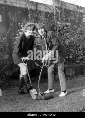 Premiere der Schauspielerin Angela Scoular und Spencer Davis, die den Soundtrack zum Film in den Gärten von Les Ambassadors lieferten, „Here we go round the Mulberry Bush“. 4.. Januar 1968. Stockfoto