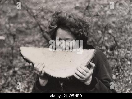 Die tägliche Prise Salz des Lebens: Spaß haben, machen einen Witz und ein Lächeln auf die Gesichter der Menschen Serie von 28 erstaunlichen Bildern : schöne Scheibe Holz 1/3 Stockfoto