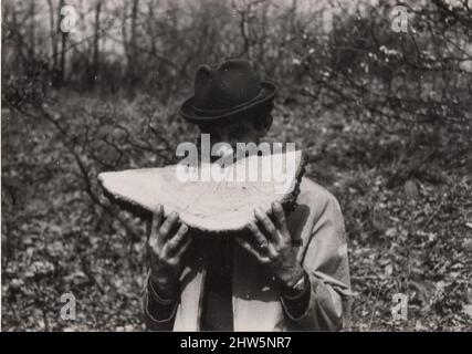 Die tägliche Prise Salz des Lebens: Spaß haben, machen einen Witz und ein Lächeln auf die Gesichter der Menschen Serie von 28 erstaunlichen Bildern : schöne Scheibe Holz 2/3 Stockfoto