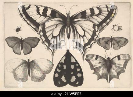 Kunst inspiriert von fünf Schmetterlingen, einer Motte und zwei Käfer, 1646, Radierung; erster Zustand von drei, Platte: 3 1/8 × 4 5/8 Zoll (8 × 11,8 cm), Drucke, Wenzel Hollar (Böhmisch, Prag 1607–1677 London), Ein großer Schwalbenschwanzschmetterling oben, mit zwei kleinen Käfer und vier Schmetterlingen mit, Classic Works modernisiert von Artotop mit einem Schuss Moderne. Formen, Farbe und Wert, auffällige visuelle Wirkung auf Kunst. Emotionen durch Freiheit von Kunstwerken auf zeitgemäße Weise. Eine zeitlose Botschaft, die eine wild kreative neue Richtung verfolgt. Künstler, die sich dem digitalen Medium zuwenden und die Artotop NFT erschaffen Stockfoto