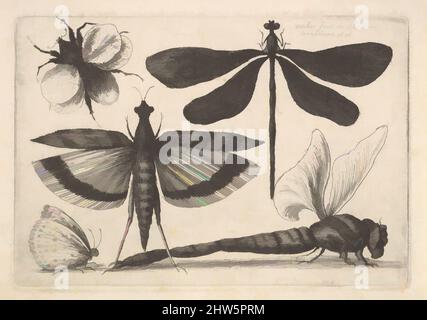 Kunst inspiriert von den Fliegen und einer Hummel, 1646, Radierung; erster Zustand von drei, Platte: 3 3/16 × 4 5/8 Zoll (8,1 × 11,8 cm), Drucke, Wenzel Hollar (Böhmisch, Prag 1607–1677 London), Bumble Bee in der oberen linken Ecke, Libelle im Profil nach rechts in der unteren rechten Ecke; dazwischen Classic Works modernisiert von Artotop mit einem Schuss Moderne. Formen, Farbe und Wert, auffällige visuelle Wirkung auf Kunst. Emotionen durch Freiheit von Kunstwerken auf zeitgemäße Weise. Eine zeitlose Botschaft, die eine wild kreative neue Richtung verfolgt. Künstler, die sich dem digitalen Medium zuwenden und die Artotop NFT erschaffen Stockfoto