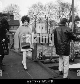 Die Hunde von Elizabeth Taylor und Richard Burton genießen eine ziemlich teure Quarantäne und sind an Bord der Familienyacht, die vor dem Tower Pier festgemacht ist. Die Burton's wohnen im Dorchester Hotel, während Richard in diesem Land filmt, und um zu vermeiden, dass die Hunde für sechs Monate in Quarantäne gehen, wird die Yacht benutzt, um die Hunde zu beherbergen, während ihre Besitzer in der Stadt bleiben. 16.. Februar 1968. Stockfoto