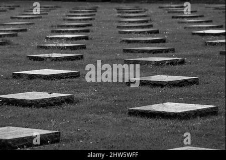 Yper, Belgien - 7. August 2021. Detail der Kriegsdenkmäler auf dem Friedhof Langemark. Langemark ist der berühmteste deutsche erste Weltkrieg Friedhof in Belgien. Stockfoto