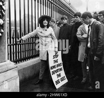 Ein junges Mädchen steht vor dem Buckingham Palace und protestiert gegen die geplante Deportation der beiden australischen Mitglieder der Popgruppe Bee Gees durch das Innenministerium, während sich eine Schar von Jungen versammelt. August 1967. Stockfoto