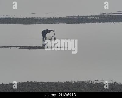 Sheerness, Kent, Großbritannien. 4. März 2022. UK Wetter: Ein nebliger nebliger Morgen und eine extrem niedrige Flut in Sheerness, Kent. Ein Köder-Bagger bei Ebbe. Kredit: James Bell/Alamy Live Nachrichten Stockfoto