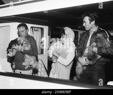 Richard Burton und Elizabeth Taylor haben auf ihrer Yacht 'Beatriz' vor dem Tower Pier in London vertäut, während Richard gerade „Where Eagles Dare“ dreht. Ebenfalls an Bord waren Co-Star Clint Eastwood und die Burton-Hunde, die an Bord in Quarantäne bleiben mussten. 16.. Februar 1968. Stockfoto