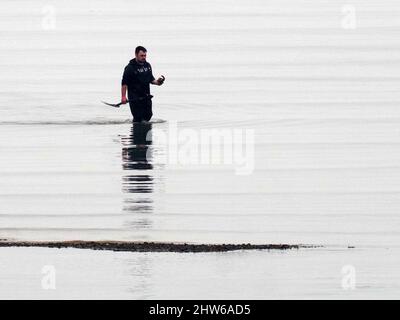 Sheerness, Kent, Großbritannien. 4. März 2022. UK Wetter: Ein nebliger nebliger Morgen und eine extrem niedrige Flut in Sheerness, Kent. Köder-Bagger. Kredit: James Bell/Alamy Live Nachrichten Stockfoto