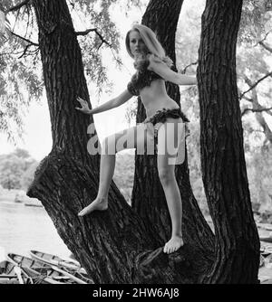 Celeste Yarnall, amerikanische Schauspielerin, Regents Park, London, Mittwoch, 16.. August 1967. Celeste Yarnall wird in dem Film Eve, alias The Face of Eve, Eve in the Jungle oder Diana, Tochter der Wildnis, die Rolle eines halb wilden weißen Mädchens spielen. Stockfoto
