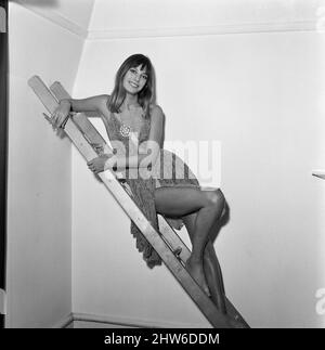 Jane Birkin, 20 Jahre alt, die den Star-Part im Film „Wonderwall“ landete. 24.. September 1967. Stockfoto