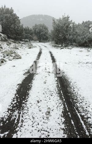 Weißer Schnee fällt auf Waldweg von Sizilien Stockfoto