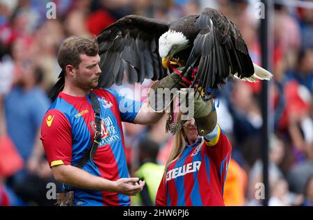 Crystal Palace Maskottchen Kayla der nordamerikanische Weißkopfseeadler wird vor dem Barclays Premier League-Spiel zwischen Crystal Palace und Arsenal im Selhurst Park in London gesehen. 16. August 2015. James Boardman / Telephoto Images +44 7967 642437 Stockfoto