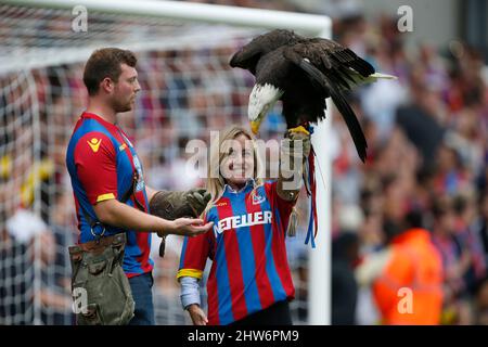 Crystal Palace Maskottchen Kayla der nordamerikanische Weißkopfseeadler wird vor dem Barclays Premier League-Spiel zwischen Crystal Palace und Arsenal im Selhurst Park in London gesehen. 16. August 2015. James Boardman / Telephoto Images +44 7967 642437 Stockfoto