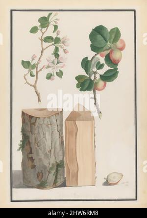 Kunst inspiriert von Studien über Stamm, Blüten und Früchte eines wilden Apfelbaums (Malus sylvestris), 1788, Aquarell, über einer Skizze in schwarzer Kreide oder Graphit. Doppelrahmen in Stift und schwarzer Tinte, Blatt: 21 x 14 15/16 Zoll (53,4 x 38 cm), Zeichnungen, Ludwig Pfleger (deutsch, 1720–1793, Klassische Werke, die von Artotop mit einem Schuss Moderne modernisiert wurden. Formen, Farbe und Wert, auffällige visuelle Wirkung auf Kunst. Emotionen durch Freiheit von Kunstwerken auf zeitgemäße Weise. Eine zeitlose Botschaft, die eine wild kreative neue Richtung verfolgt. Künstler, die sich dem digitalen Medium zuwenden und die Artotop NFT erschaffen Stockfoto