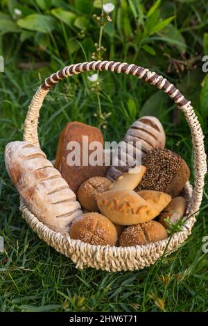 Assorti von leckeren frischen braunen und weißen hausgemachten Brot mit den Samen in Weidenkorb auf dem grünen Gras stehen. Hochwertige Fotos Stockfoto