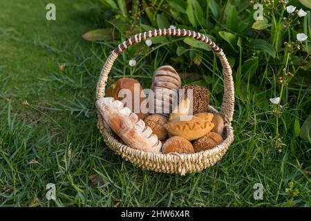 Assorti von leckeren frischen braunen und weißen hausgemachten Brot mit den Samen in Weidenkorb auf dem grünen Gras stehen. Hochwertige Fotos Stockfoto