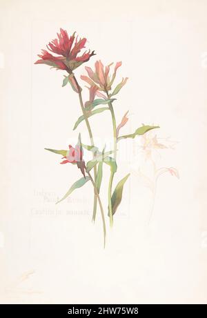 Art inspired by Indian Paint Brush, Castilleja miniata, 29. Juni 1909, Aquarell- und braune Tinte über Graphit, mit Seitendesign in Graphit und zwei Details in Tinte, Blatt: 13 11/16 x 9 15/16 Zoll (34,8 x 25,2 cm), Zeichnungen, Margaret Neilson Armstrong (amerikanisch, New York 1867–, Klassische Werke, die von Artotop mit einem Schuss Moderne modernisiert wurden. Formen, Farbe und Wert, auffällige visuelle Wirkung auf Kunst. Emotionen durch Freiheit von Kunstwerken auf zeitgemäße Weise. Eine zeitlose Botschaft, die eine wild kreative neue Richtung verfolgt. Künstler, die sich dem digitalen Medium zuwenden und die Artotop NFT erschaffen Stockfoto