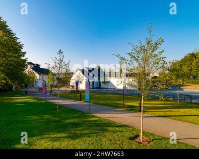 Castle Espie Wetlands Centre, Comber, County Down, Nordirland Stockfoto