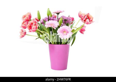 Komposition mit schönen blühenden Tulpen und Barberton Daisy (Gerbera jamesonii) Blumen auf weißem Hintergrund, rosa Farben Stockfoto