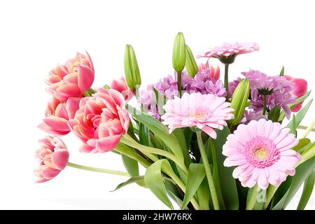 Komposition mit schönen blühenden Tulpen und Barberton Daisy (Gerbera jamesonii) Blumen auf weißem Hintergrund, rosa Farben Stockfoto