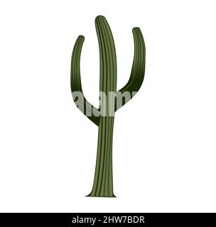 Saguaro Cactus Cartoon Design Illustration Vektor eps-Format , geeignet für Ihr Design Bedürfnisse, Logo, Illustration, Animation, etc. Stock Vektor