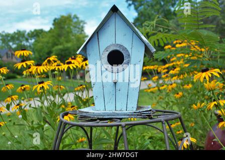 Blaues Vogelhaus umgeben von schwarzen Augen Susan Blumen Stockfoto