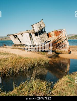 The Point Reyes Shipwreck, in Inverness, Kalifornien Stockfoto