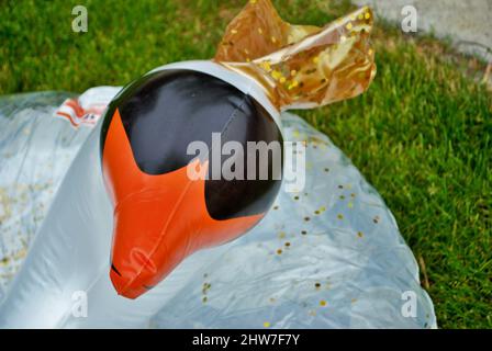 schwan aufblasbar schwimmend in einem Hinterhof Swimmingpool Stockfoto