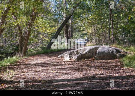 Virginia. Great Falls Park. Patowmack Canal Trail. Stockfoto